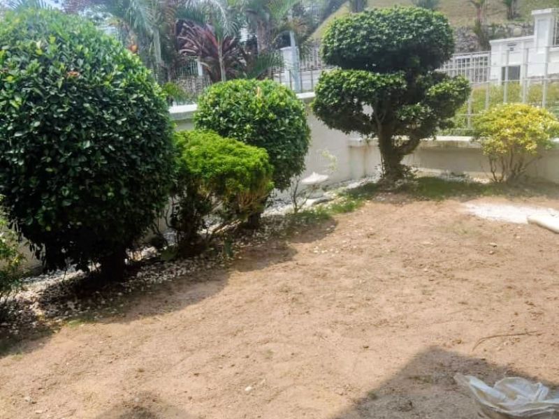 rumput jepun
